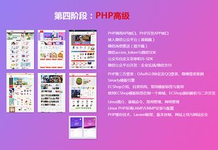 上海php网站开发 多迪教育网站建设培训班 费用 哪个好 多少钱 教育在线