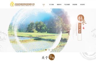 农业电商网站建设 网站定制开发的作用