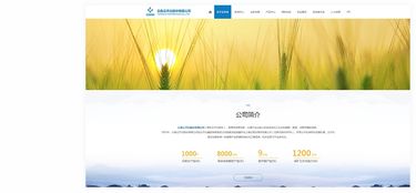 昆明奥远科技 专业网站建设与新媒体运营服务商